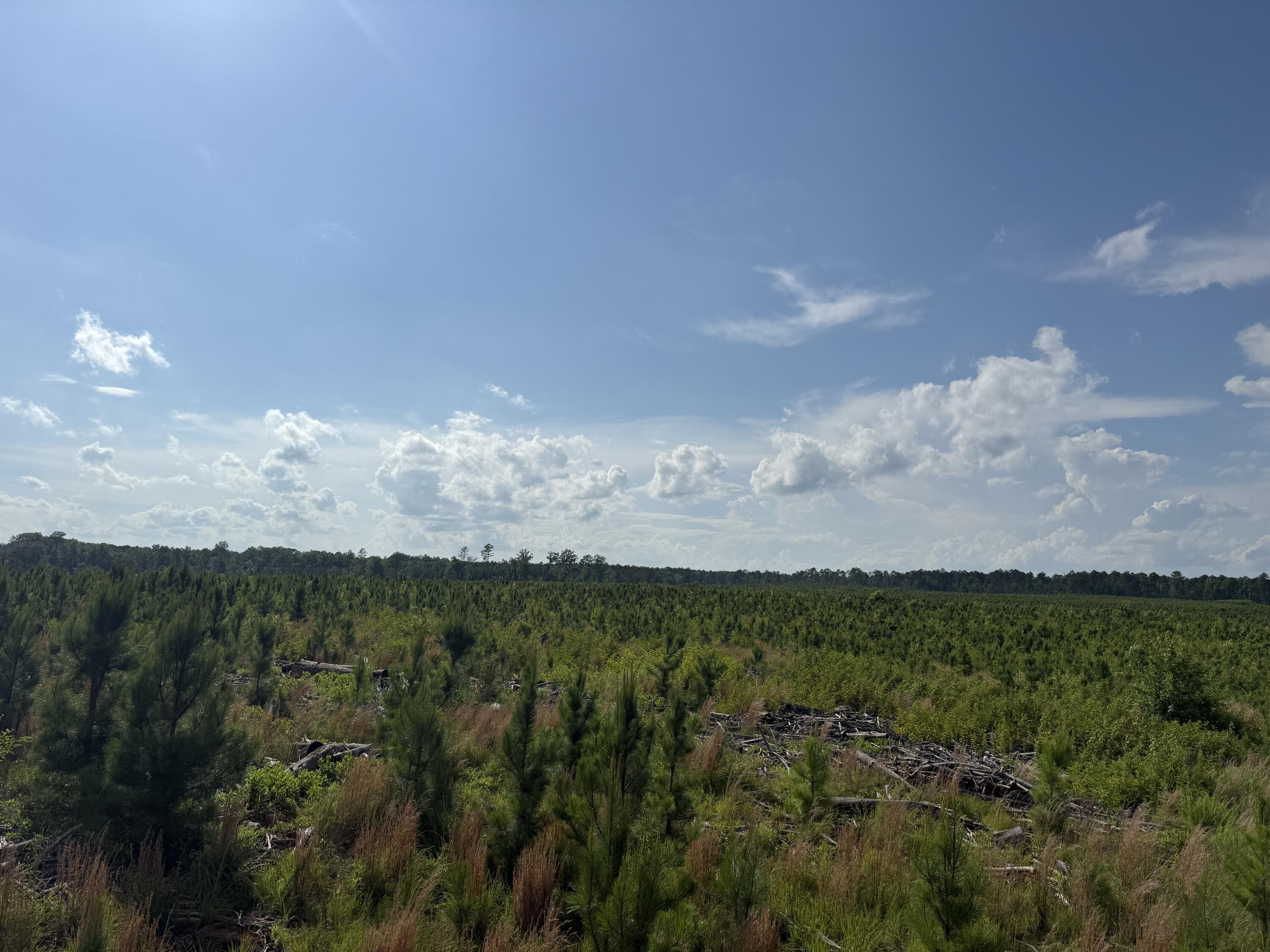 Tbd Tbd Us-378 McCormick, SC 29835 - Photo 12 of 15