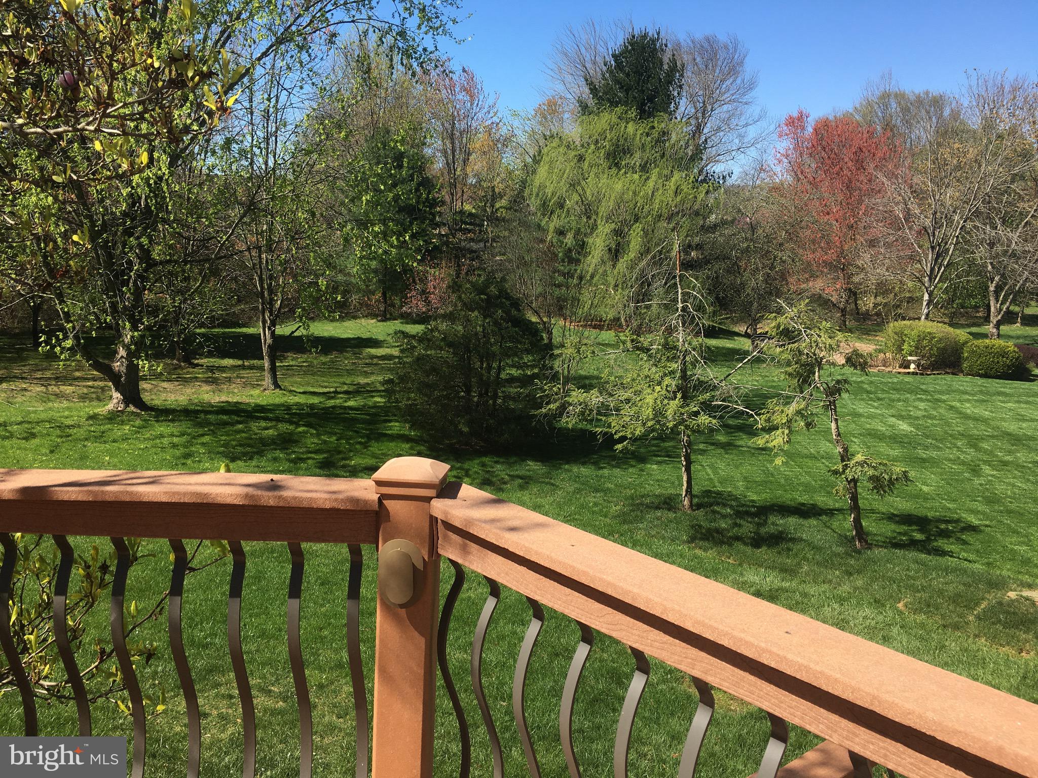 5430 Ashleigh Road Fairfax, VA 22030 - Photo 29 of 73 view from deck- common grounds