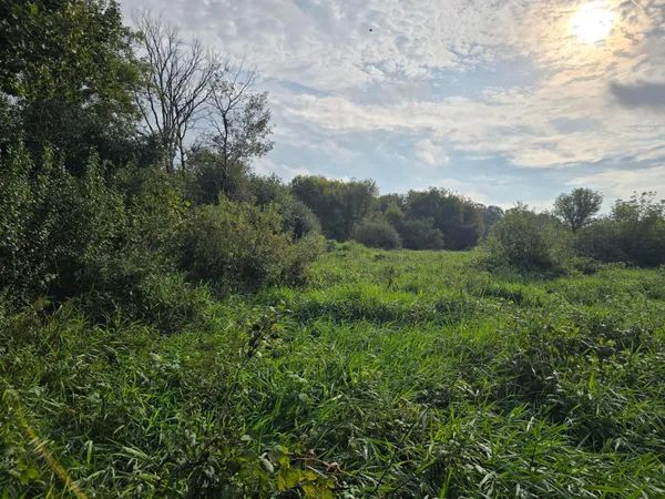 $225,000 | Tbd Tbd Tbd Ham Lake, Andover, MN 55304