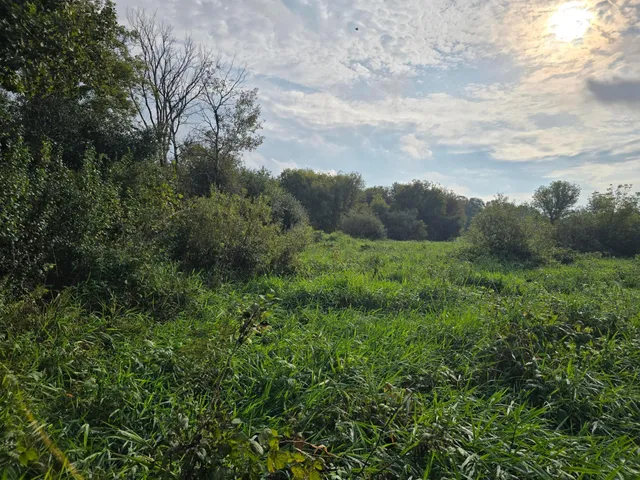 $225,000 | Tbd Tbd Tbd Ham Lake, Andover, MN 55304