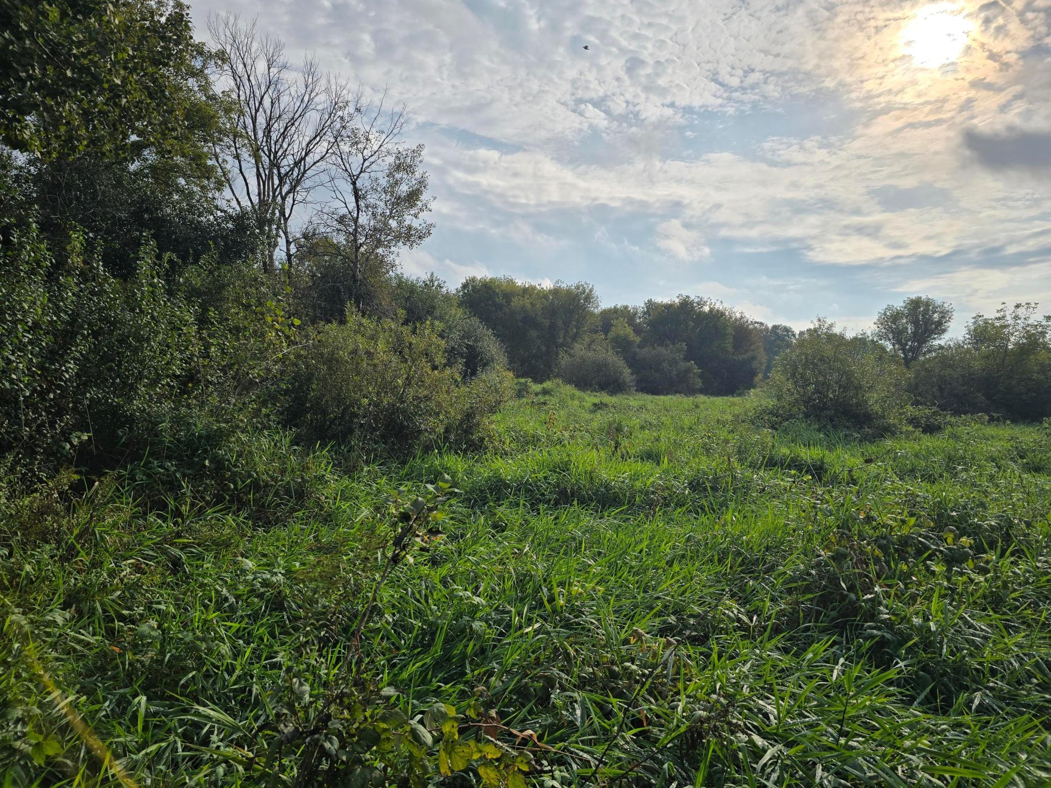 Tbd Tbd Tbd Ham Lake Andover, MN 55304 - Photo 1 of 4