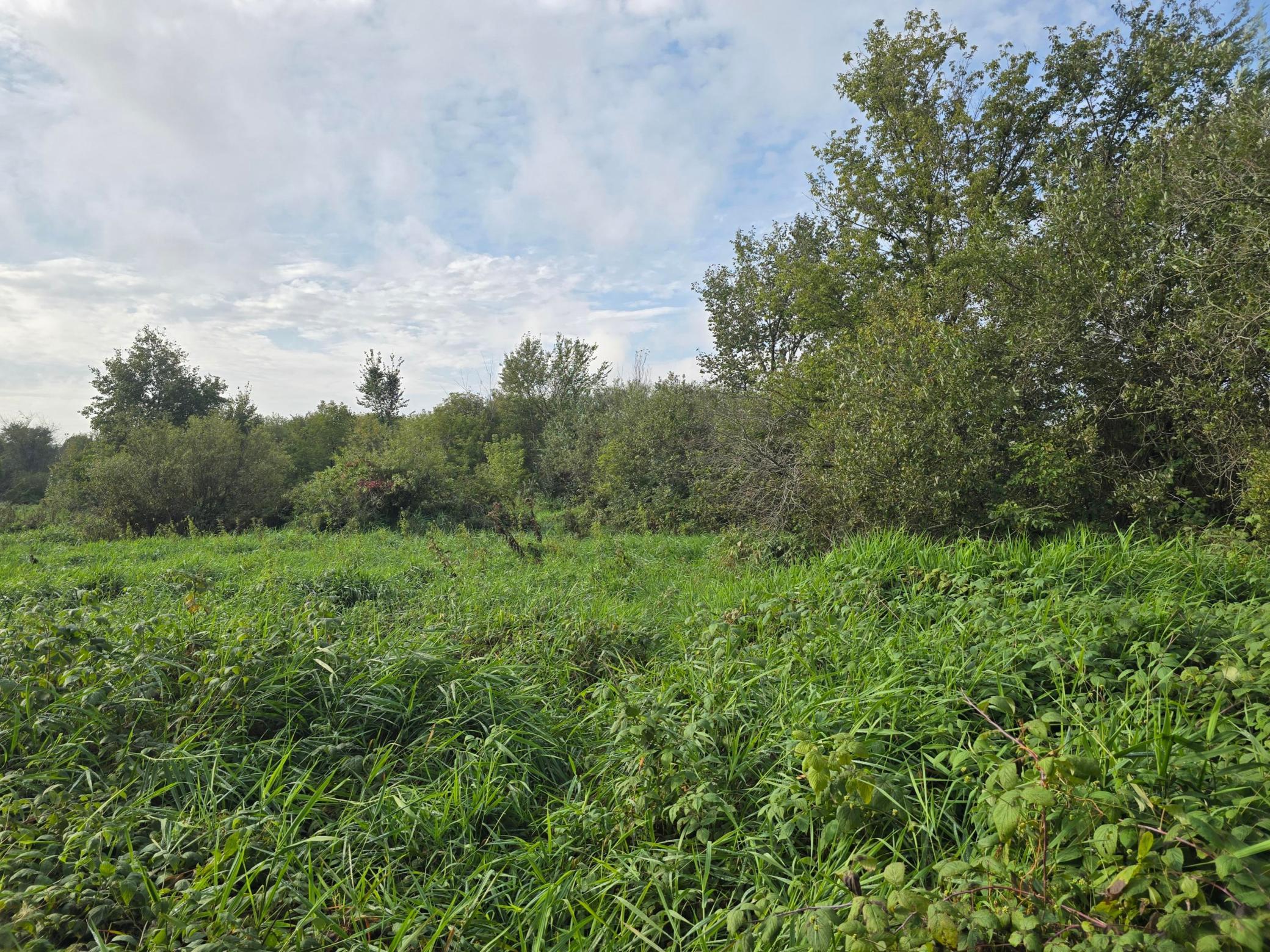 Tbd Tbd Tbd Ham Lake Andover, MN 55304 - Photo 3 of 4