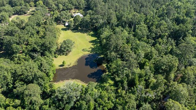 11205 Lee Settlement Road Folsom, LA 70437 - Photo 42 of 49