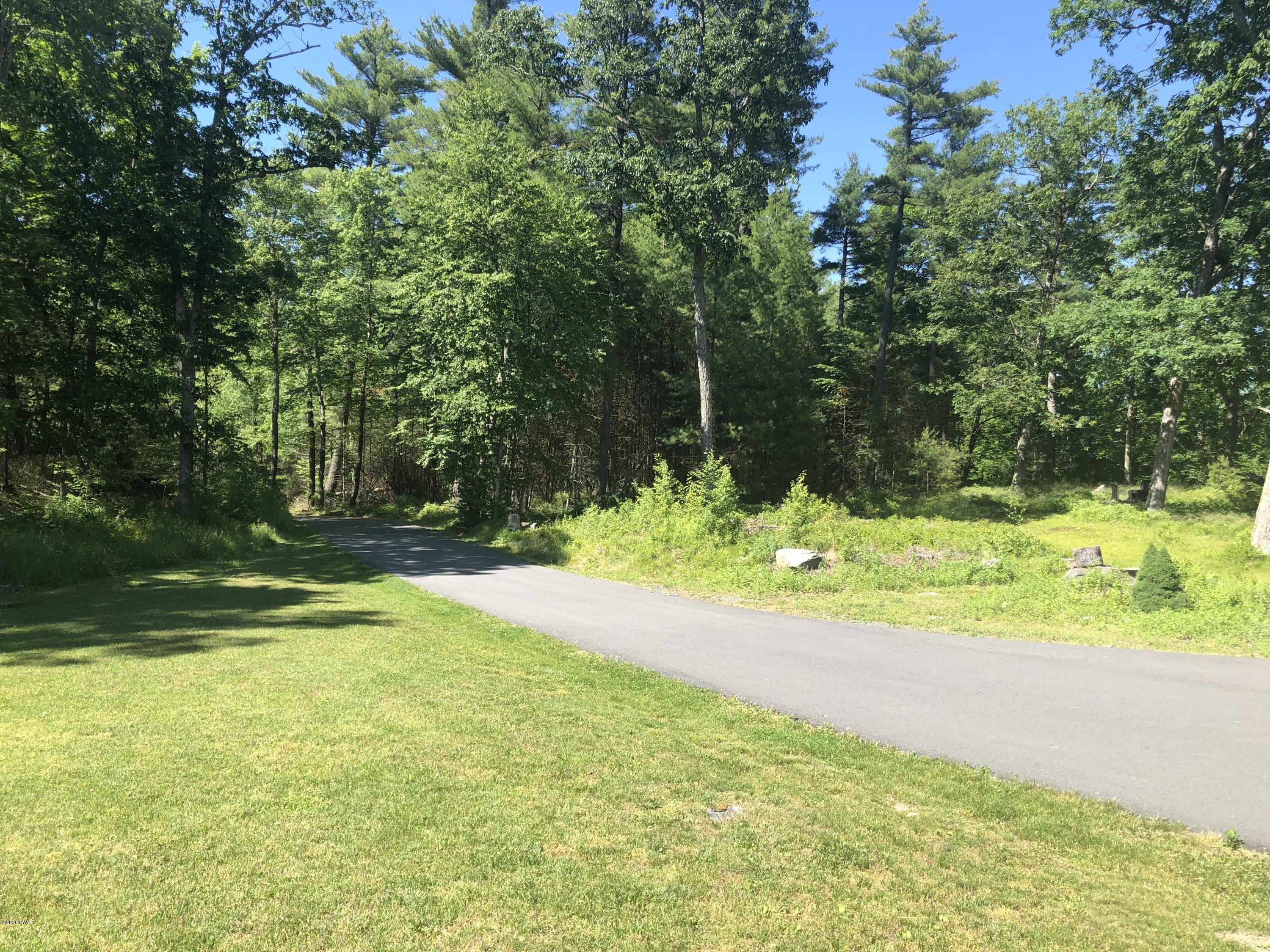 170 Park Road Dingmans Ferry, PA 18328 - Photo 12 of 29 Long Private Driveway