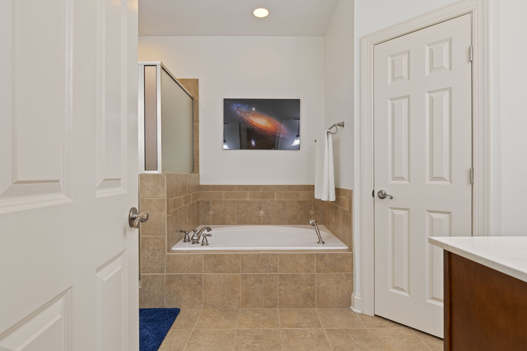 713 Pearre Springs Way Franklin, TN 37064 - Photo 57 of 95