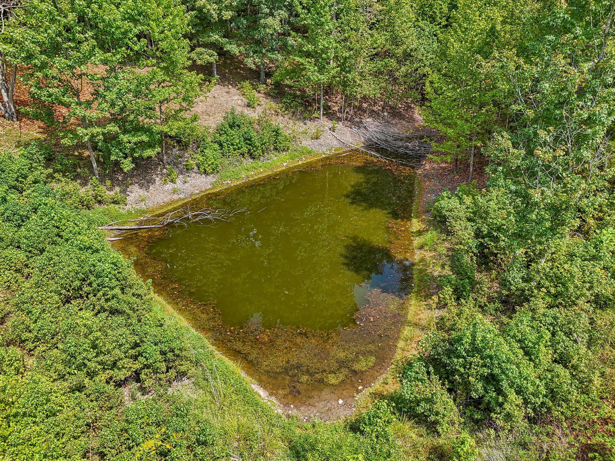 915 Woosley Road Tullahoma, TN 37388 - Photo 69 of 70 The pond has fish in it. (low due to dry weather)