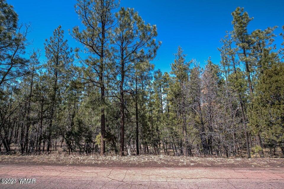 Tbd West Tbd Street Pinetop, AZ 85935 - Photo 1 of 4