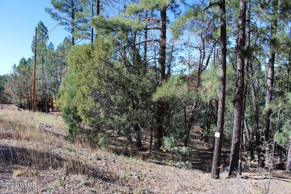 Tbd West Tbd Street Pinetop, AZ 85935 - Photo 2 of 4