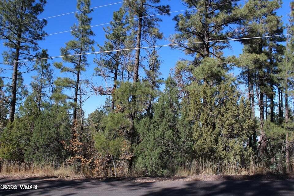 Tbd West Tbd Street Pinetop, AZ 85935 - Photo 3 of 4