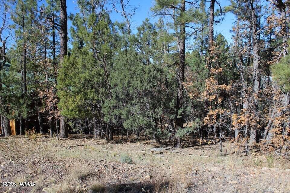 Tbd West Tbd Street Pinetop, AZ 85935 - Photo 4 of 4