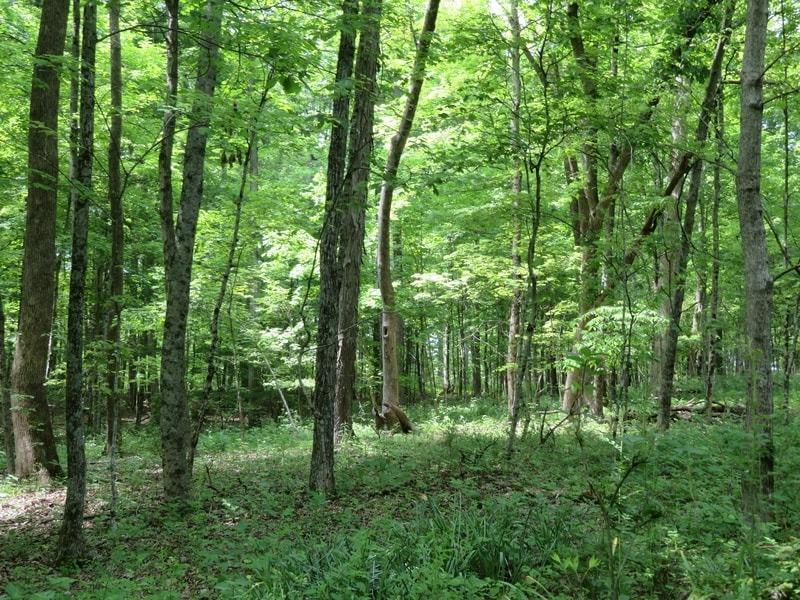 6530 Pondlick Road Winchester, OH 45697 - Photo 27 of 27 Gallery Image 27