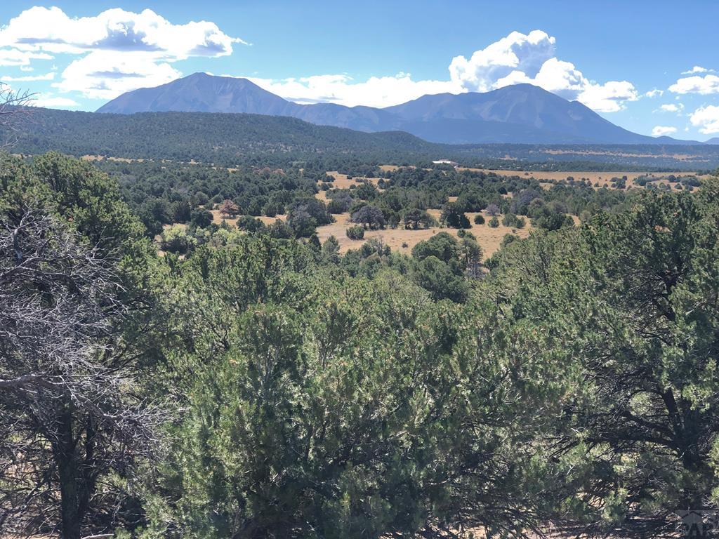 Lot 64 River Ridge Trail La Veta, CO 81055 - Photo 1 of 29