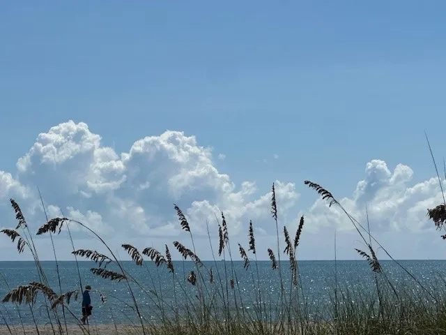 $405,000 | 1536 Ocean Drive, Unit 201B, Vero Beach, FL 32963