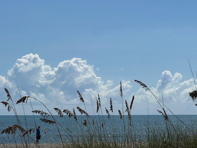 1536 Ocean Drive, Unit 201B Vero Beach, FL 32963 - Photo 34 of 35