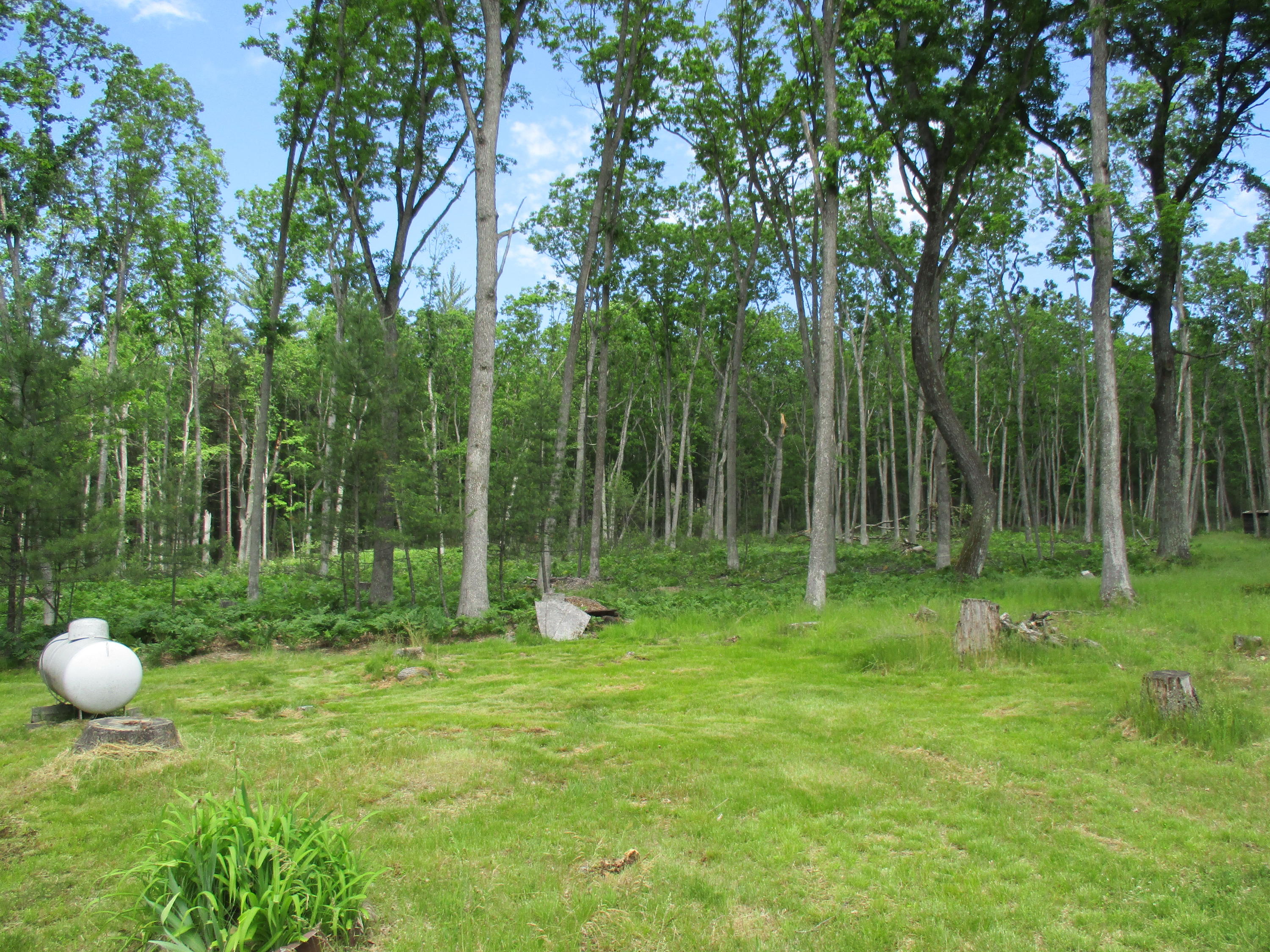 11927 Branwell Road Roscommon, MI 48653 - Photo 10 of 35 Gallery Image 10