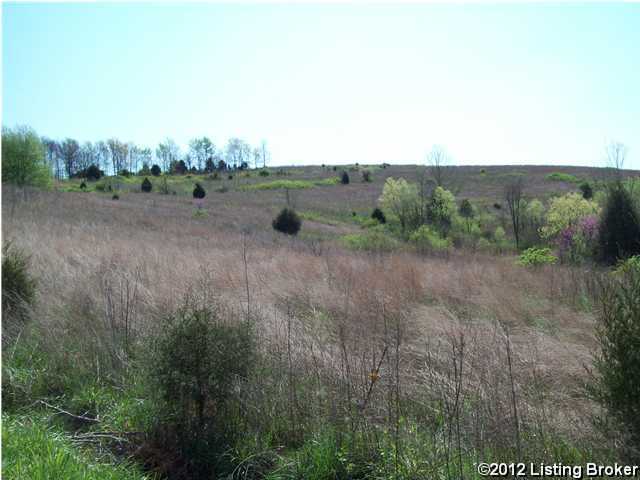 0 Jolertown Road Jetson, KY 42252 - Photo 2 of 9 Additional Photo