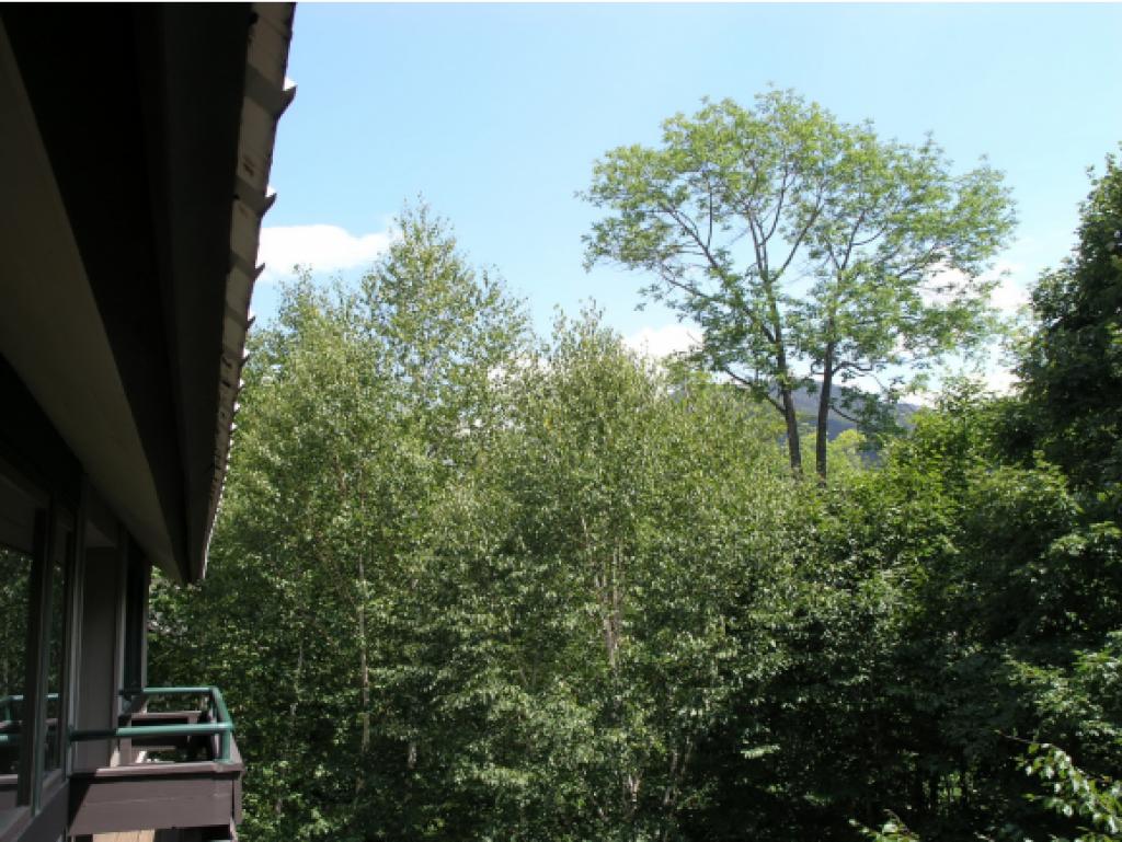 24 B Bridge View Road, Unit 24B Lincoln, NH 03251 - Photo 24 of 32 Gallery Image 24