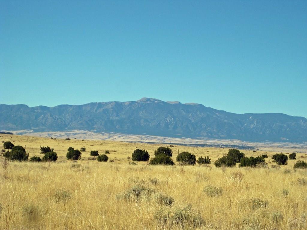 Lot 101 Turkey Ridge Ranch Walsenburg, CO 81089 - Photo 37 of 47
