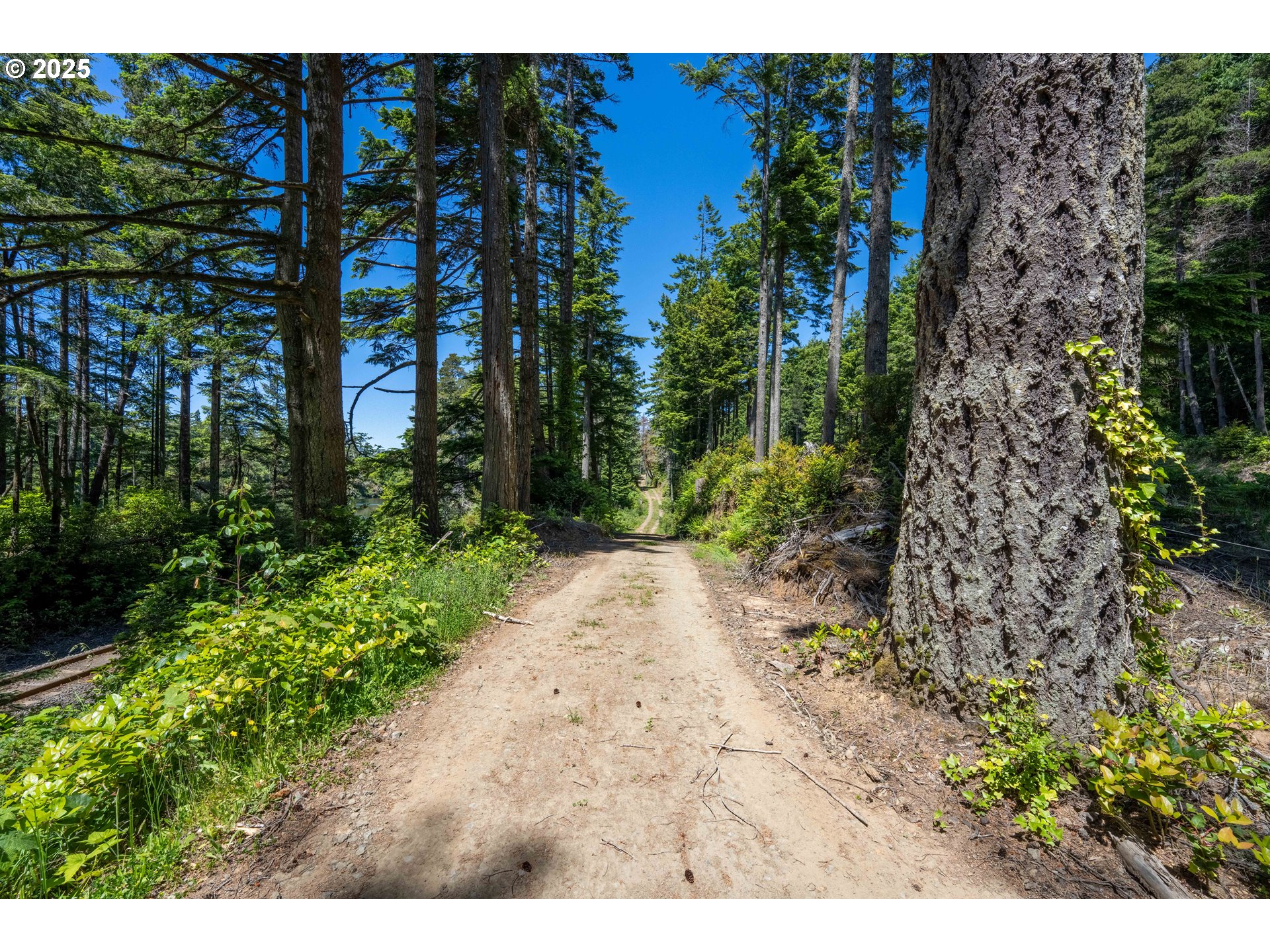 70298 Highway 101 North Bend, OR 97459 - Photo 43 of 45