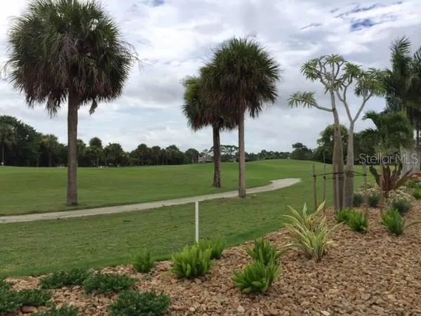 a view of a park with a palm tree