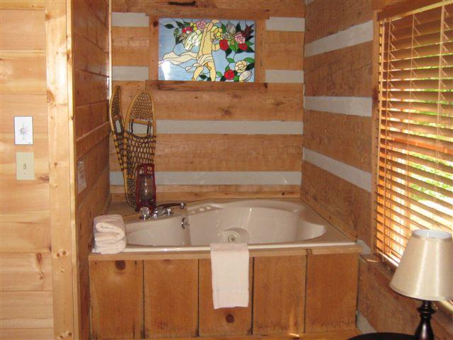 161 Timberwinds Way Townsend, TN 37882 - Photo 15 of 28 901