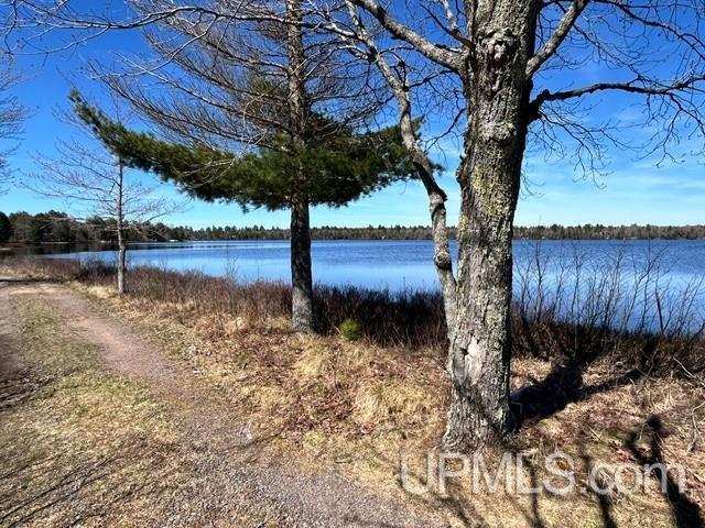 61 Little Rice Lk Road Lake Linden, MI 49945 - Photo 19 of 29