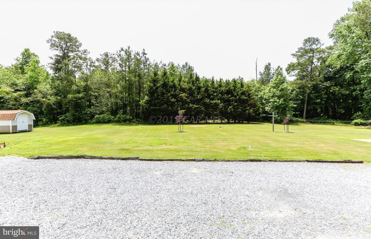 31685 Melson Road Delmar, MD 21875 - Photo 17 of 20
