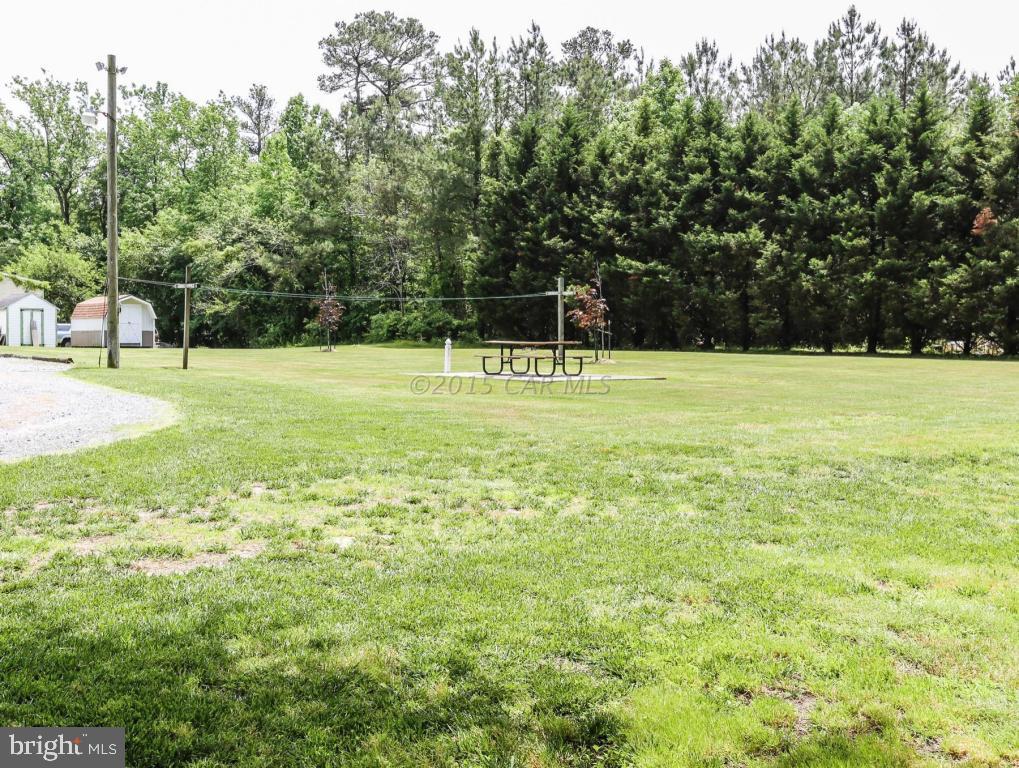 31685 Melson Road Delmar, MD 21875 - Photo 18 of 20