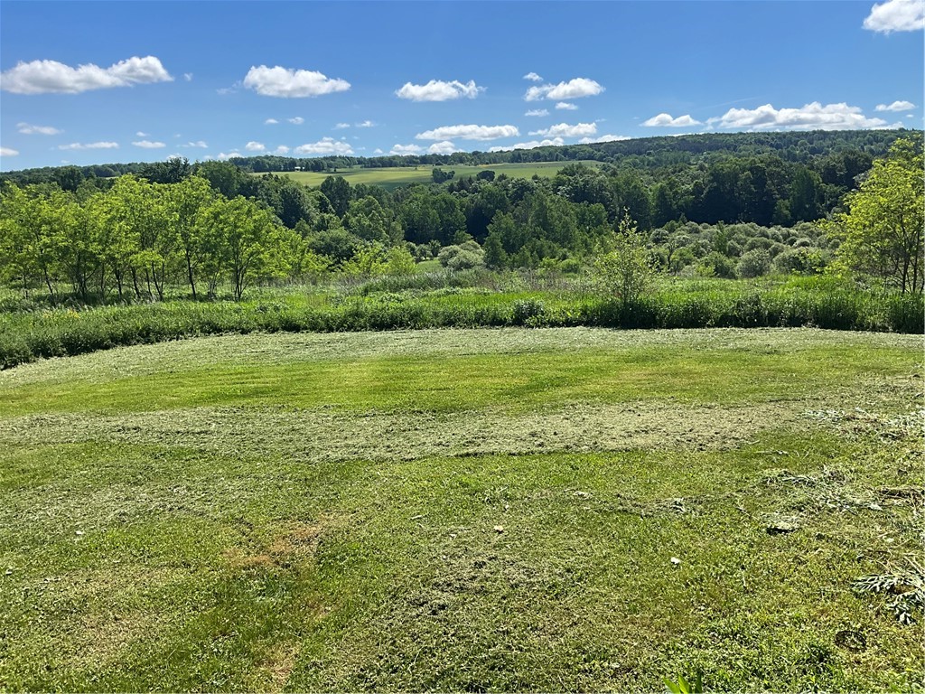 6801 Frazier Road Sempronius, NY 13118 - Photo 33 of 33 View from the back deck