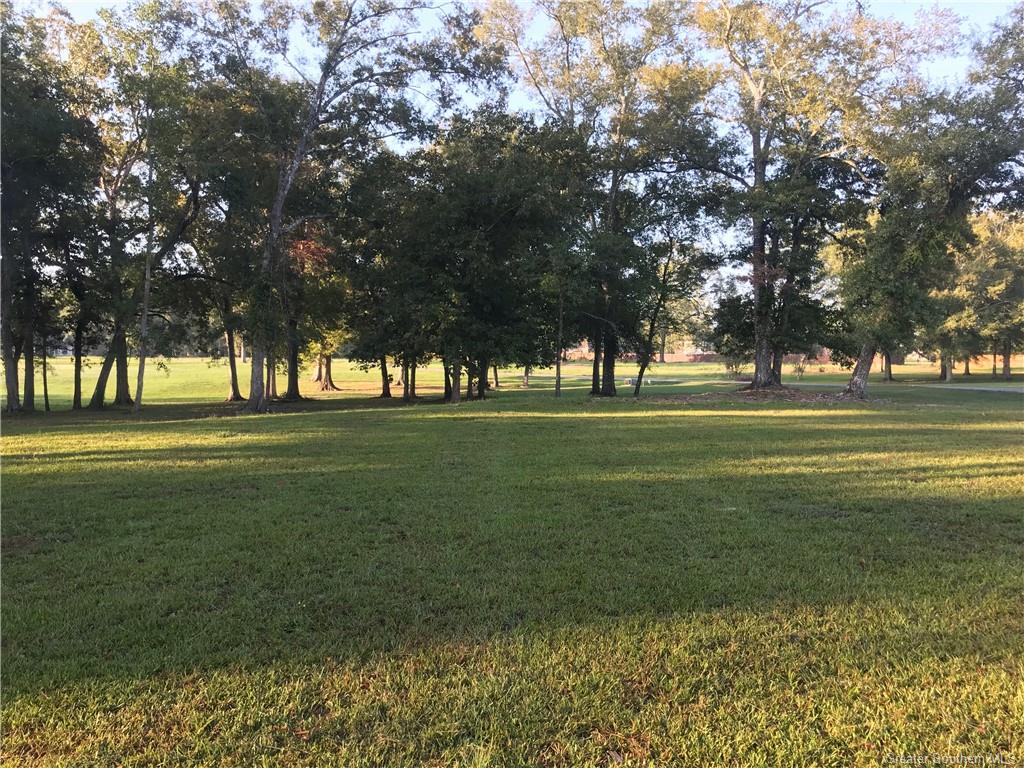 -tbd River View Drive Jennings, LA 70546 - Photo 2 of 7