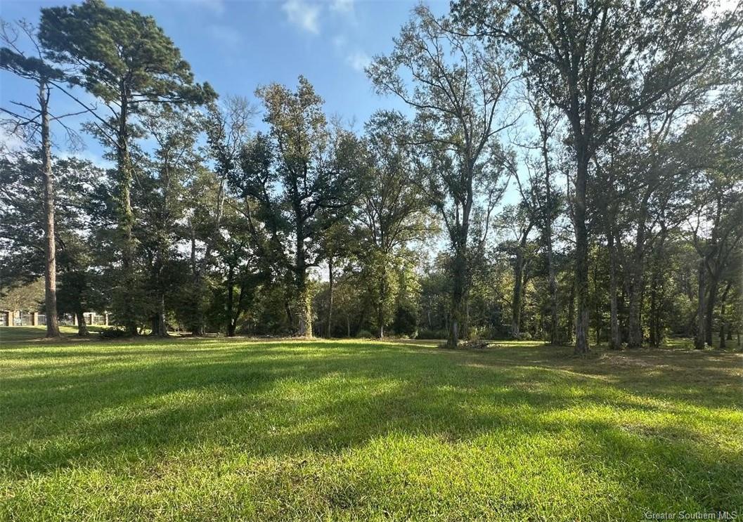 -tbd River View Drive Jennings, LA 70546 - Photo 6 of 7