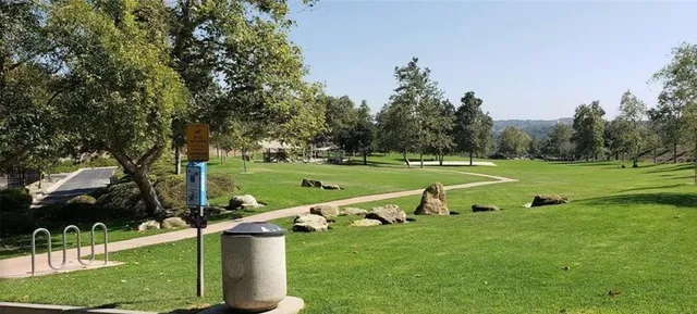 a view of a park with large trees