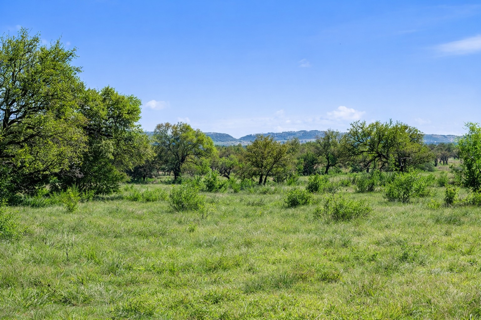 0 Lone Star Oak Ranch Johnson City, TX 78636 - Photo 1 of 24 Grass Enhanced