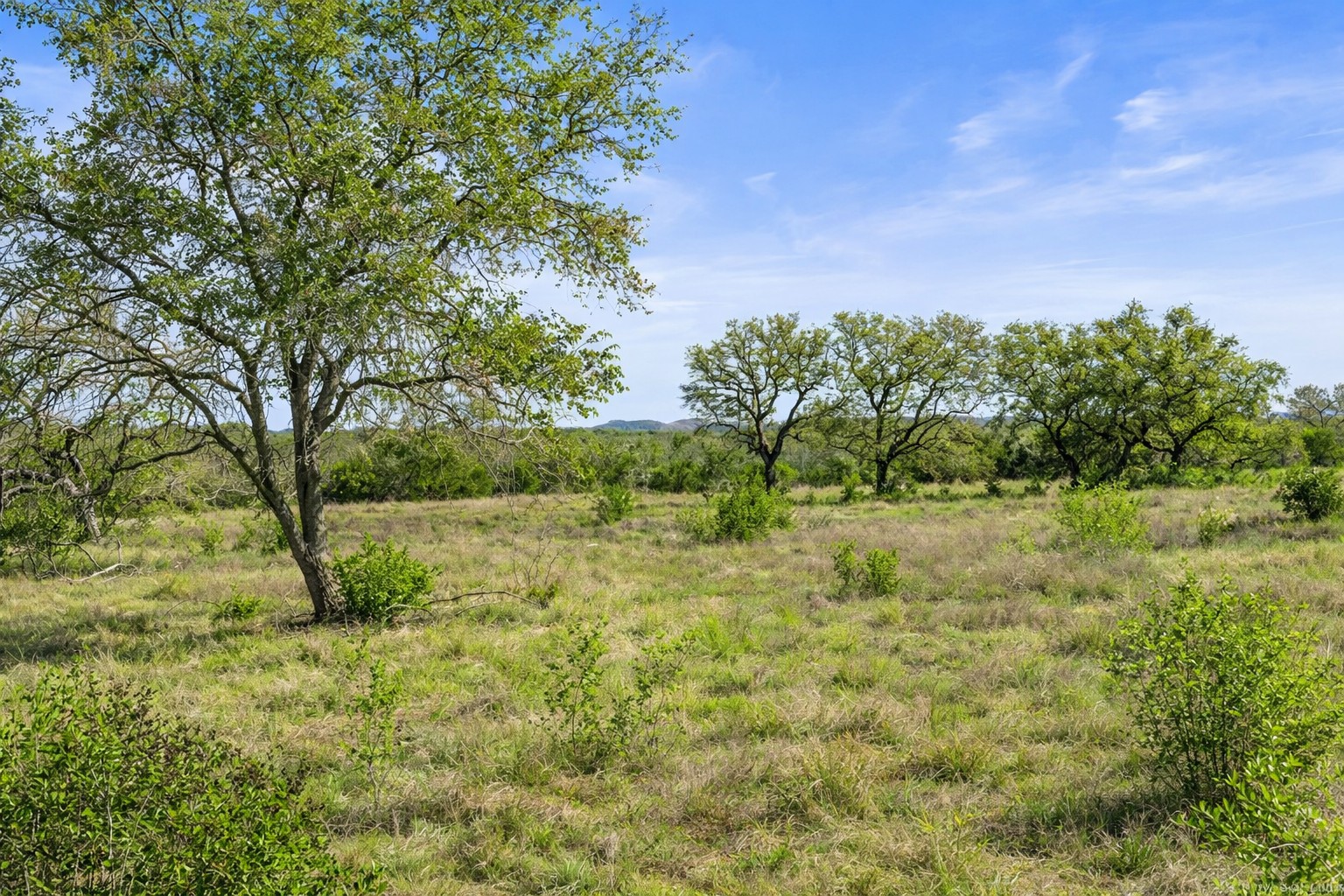 0 Lone Star Oak Ranch Johnson City, TX 78636 - Photo 11 of 24 Grass Enhanced