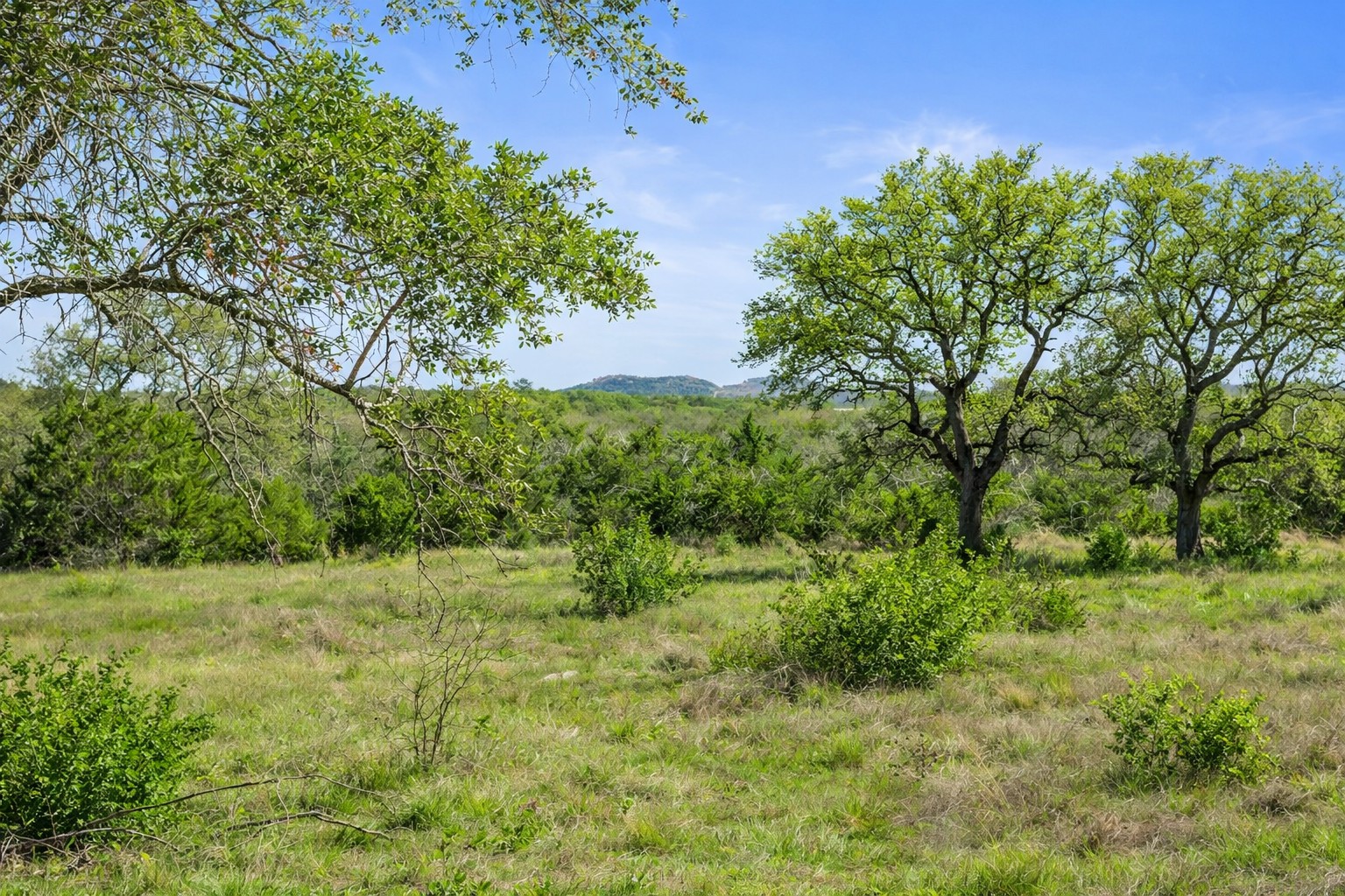 0 Lone Star Oak Ranch Johnson City, TX 78636 - Photo 12 of 24 Grass Enhanced