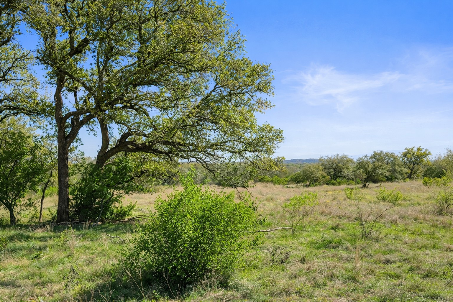 0 Lone Star Oak Ranch Johnson City, TX 78636 - Photo 13 of 24 Grass Enhanced