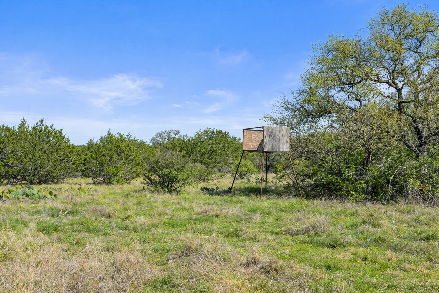0 Lone Star Oak Ranch Johnson City, TX 78636 - Photo 15 of 24 Grass Enhanced