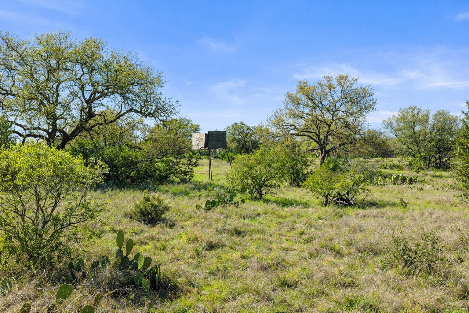 0 Lone Star Oak Ranch Johnson City, TX 78636 - Photo 16 of 24 Grass Enhanced