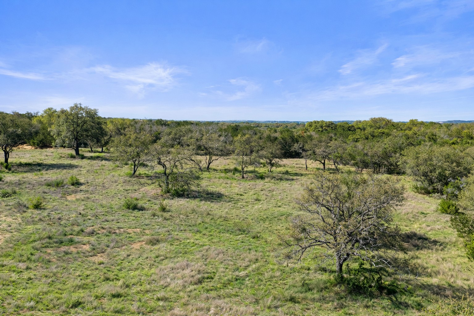 0 Lone Star Oak Ranch Johnson City, TX 78636 - Photo 17 of 24 Grass Enhanced
