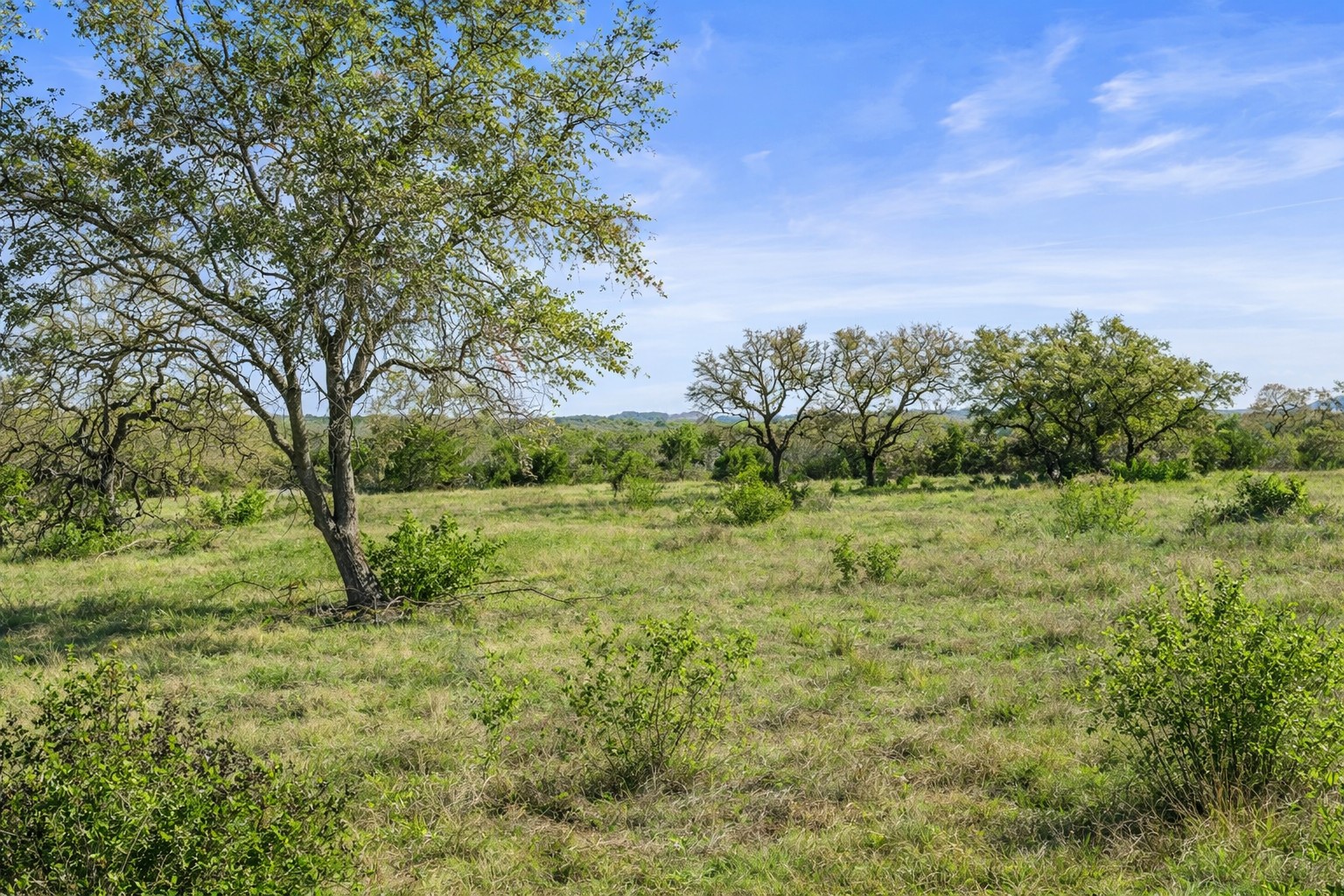 0 Lone Star Oak Ranch Johnson City, TX 78636 - Photo 21 of 24 Grass Enhanced
