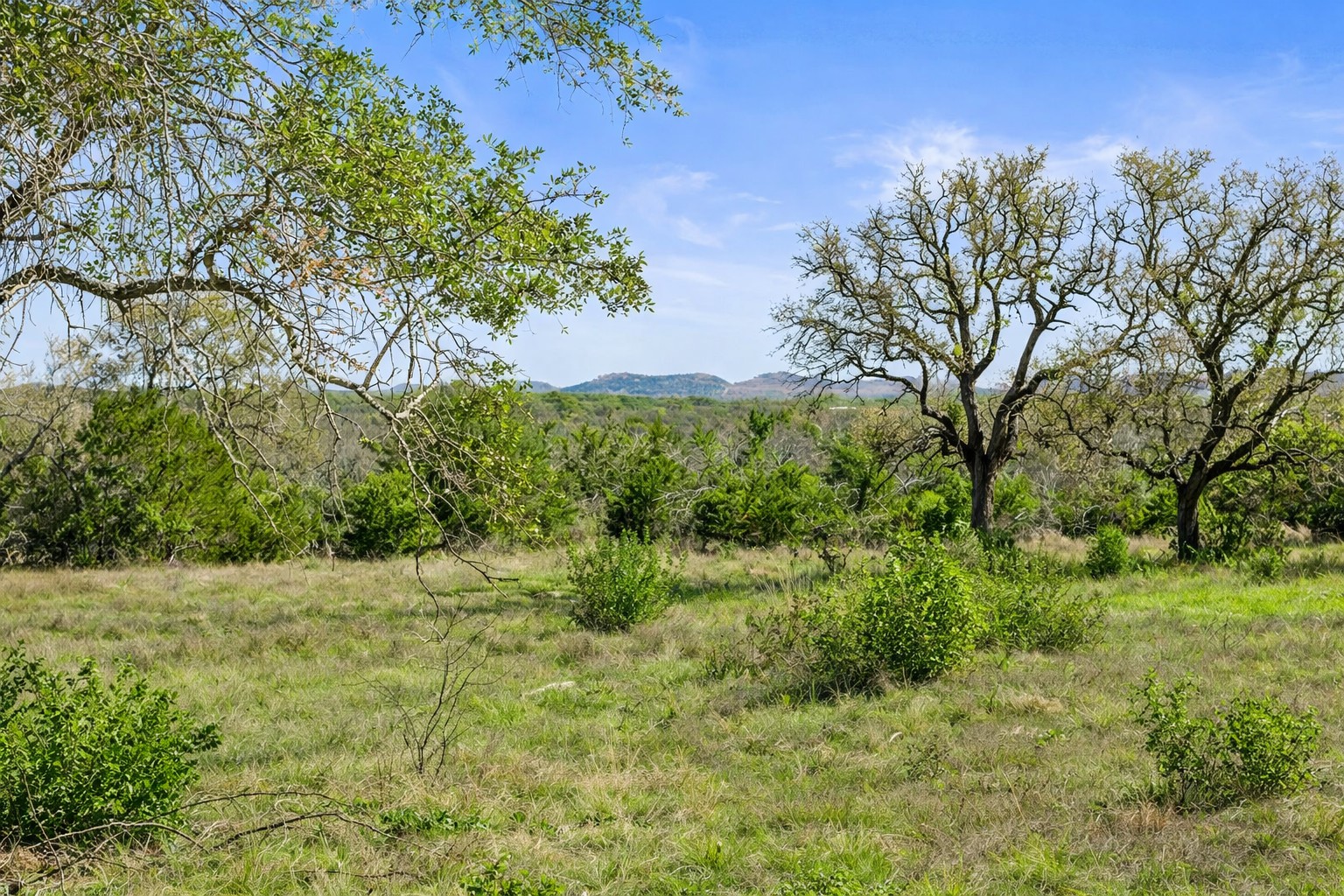 0 Lone Star Oak Ranch Johnson City, TX 78636 - Photo 22 of 24 Grass Enhanced