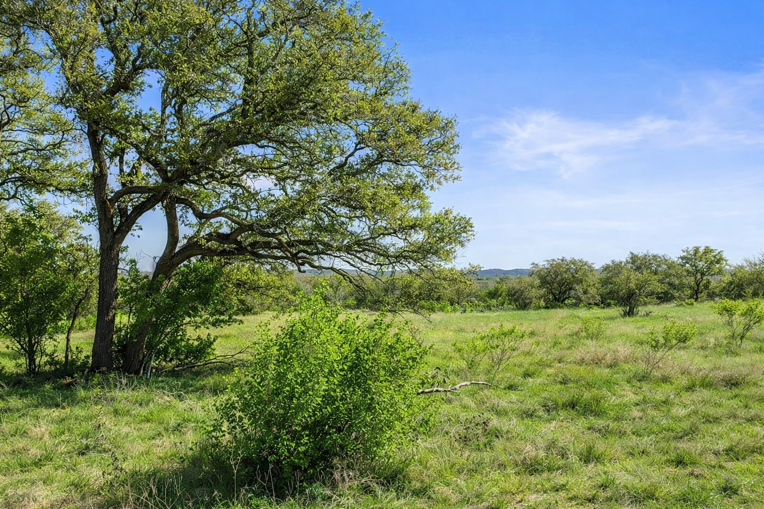 0 Lone Star Oak Ranch Johnson City, TX 78636 - Photo 23 of 24 Grass Enhanced