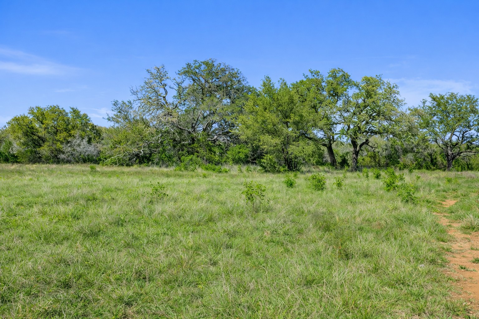 0 Lone Star Oak Ranch Johnson City, TX 78636 - Photo 6 of 24 Grass Enhanced