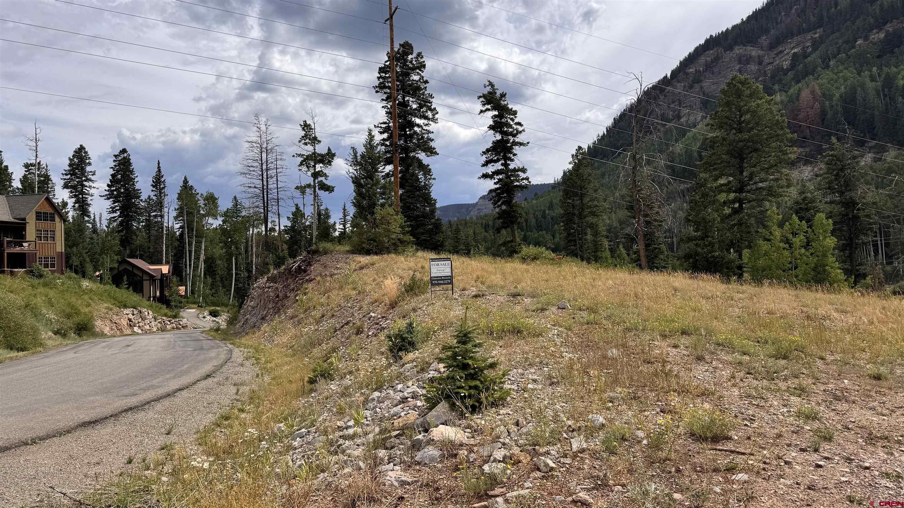 85 Vermillion Drive Durango, CO 81301 - Photo 12 of 21 a view of a yard with a tree
