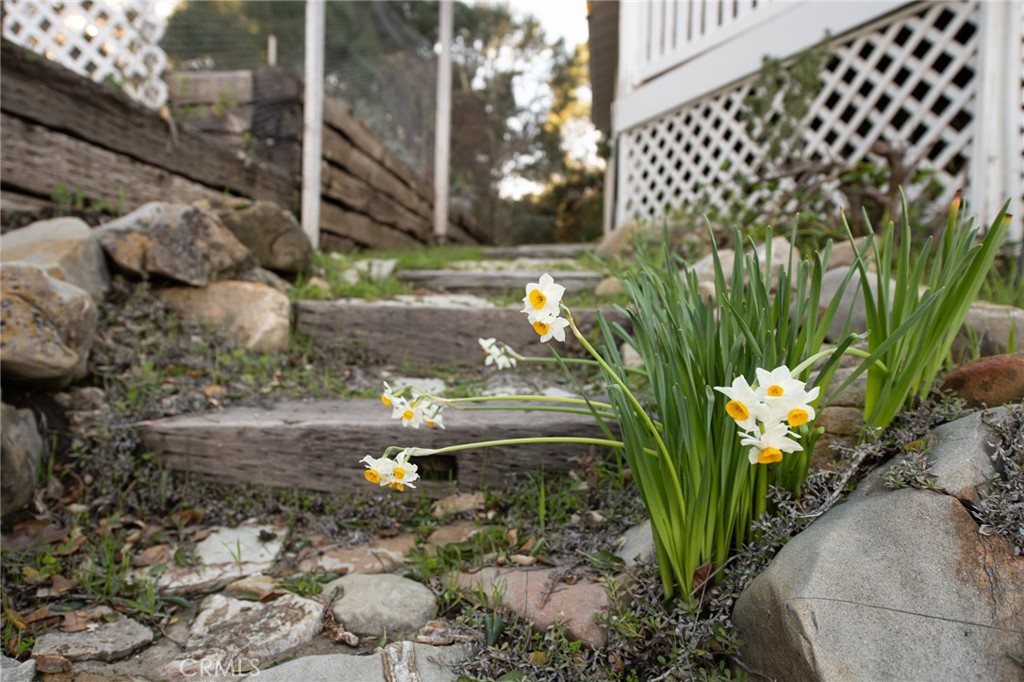 8255 Balboa Road Atascadero, CA 93422 - Photo 46 of 72 a vase of flowers sitting on a floor