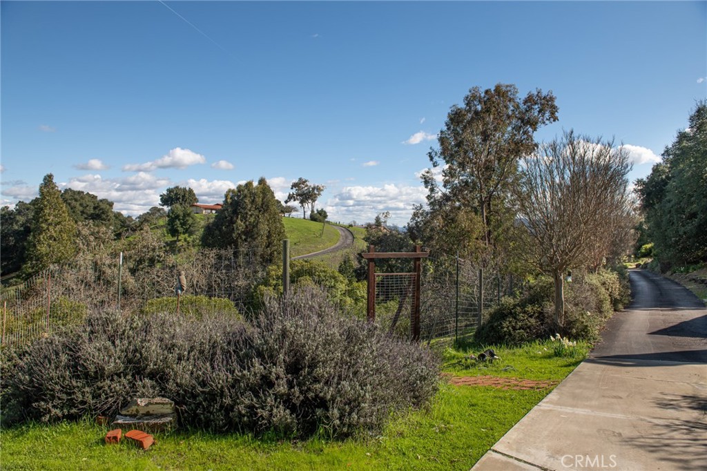 8255 Balboa Road Atascadero, CA 93422 - Photo 48 of 72 a view of a garden with a building in the background