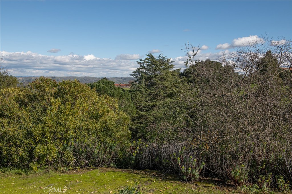 8255 Balboa Road Atascadero, CA 93422 - Photo 50 of 72 a view of a lake with houses