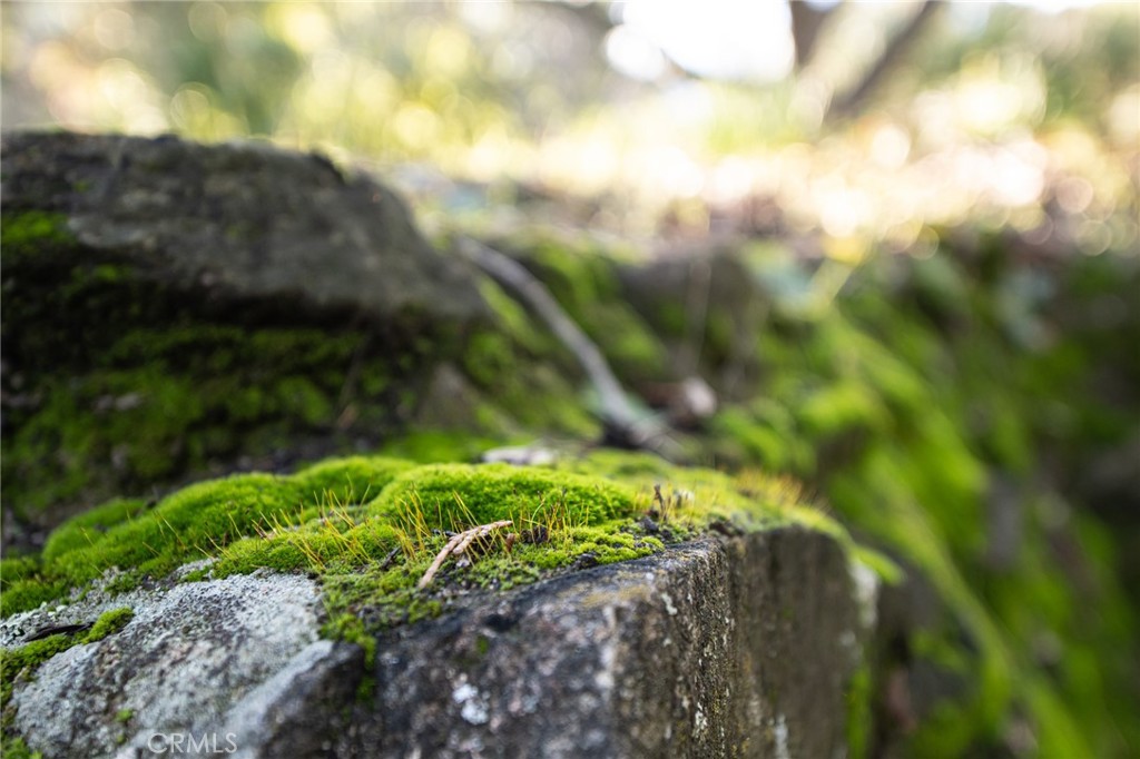 8255 Balboa Road Atascadero, CA 93422 - Photo 66 of 72