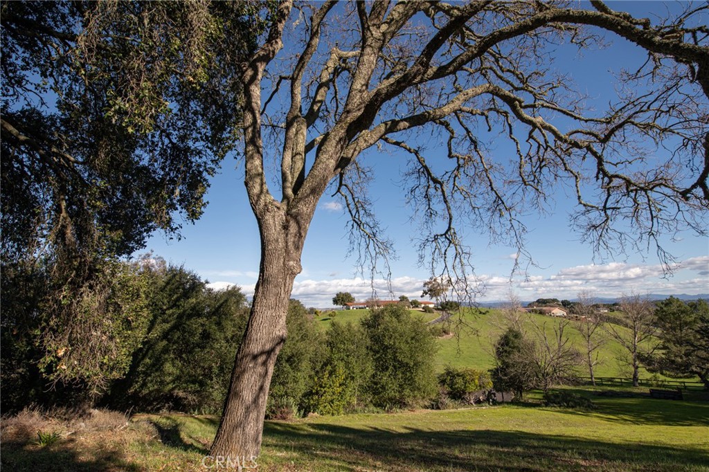 8255 Balboa Road Atascadero, CA 93422 - Photo 67 of 72 a view of a yard with large tree