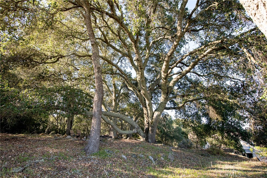 8255 Balboa Road Atascadero, CA 93422 - Photo 68 of 72 a view of outdoor space with deck and tree